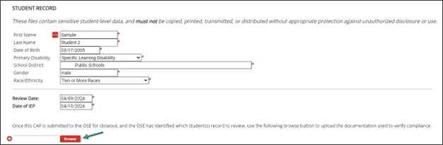 Browse button shown on the B-13 CAP Verification Activity page.