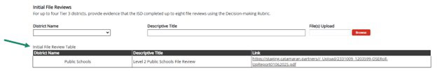 Prepopulated Initial File Review Table shown.